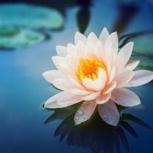 Meet your Posher, Kalicia